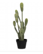 Faux cactus