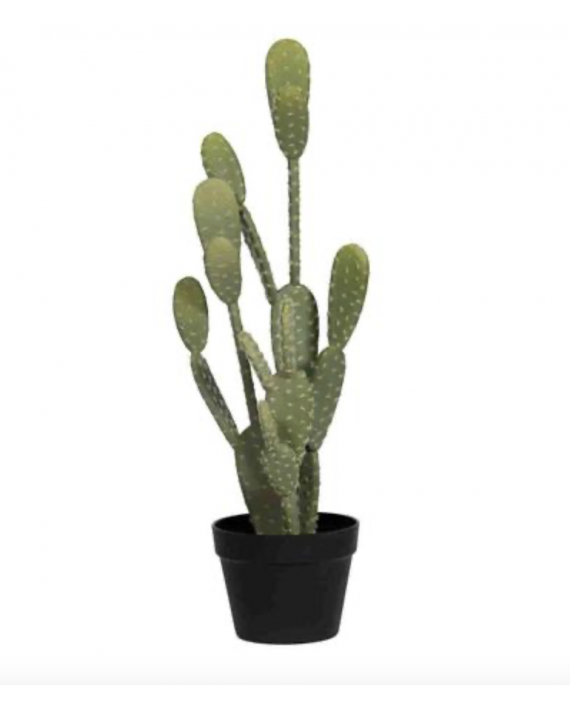 Faux cactus