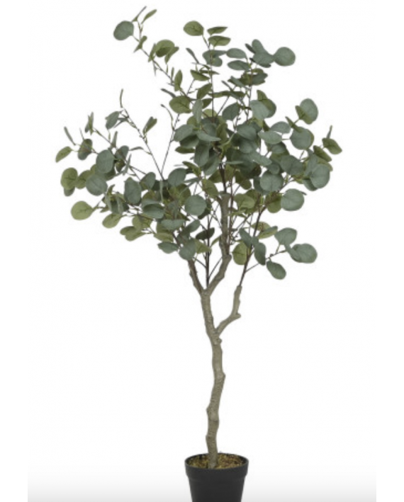 Fausse plante eucalyptus