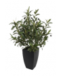 Faux olivier en pot