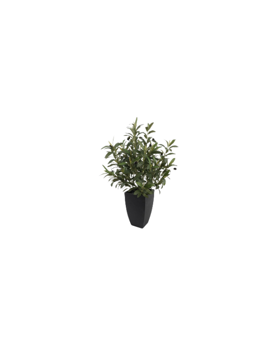 Faux olivier en pot