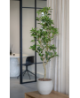 Petit pot beige