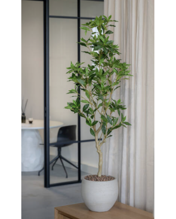 Petit pot beige
