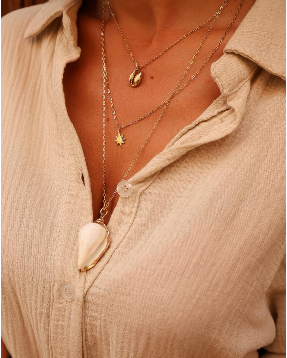 Collier coquillage