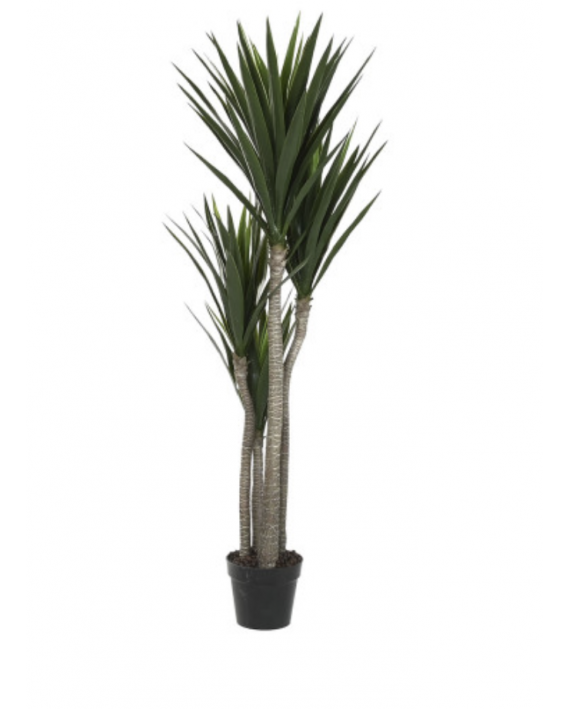 Fausse plante verte