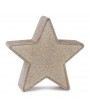 Petite étoile beige en métal