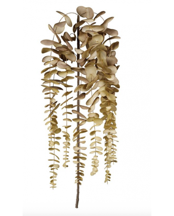 Branchage eucalyptus brun + ocre