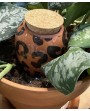 Olla - Léopard marron