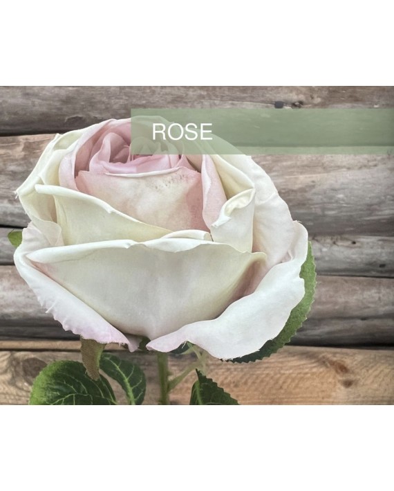 ROSE 3 BOUTONS VIOLET CLAIR-BLANC
