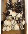 MAGNOLIA BLANCHE