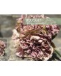 Bouquet de fleurs Pivoine Hortensia roses