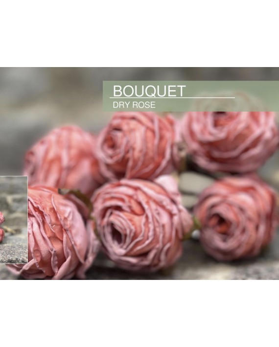 FLEURS RENONCULE TIGE ROSE