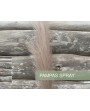 BRANCHE PAMPA BEIGE