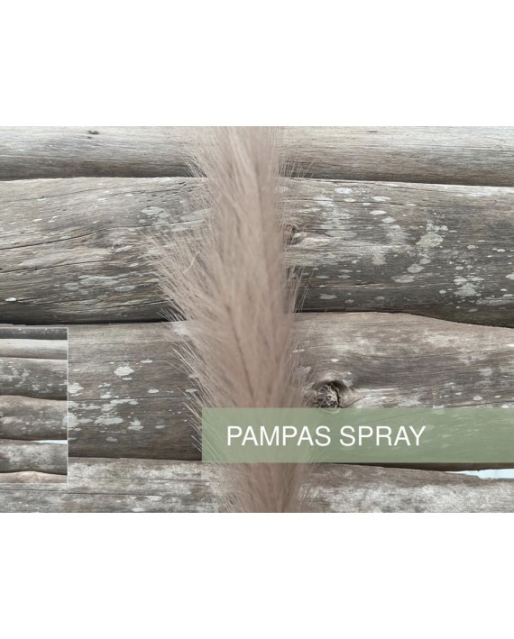 BRANCHE PAMPA BEIGE