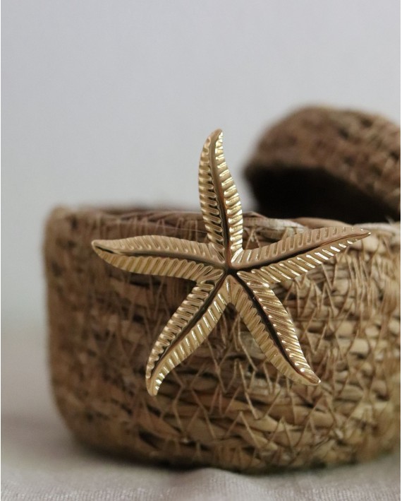 Broche étoile de mer dorée