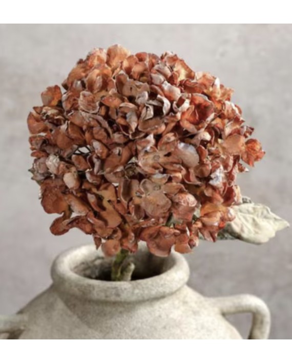 FLEURS HORTENSIA SIMPLE orange