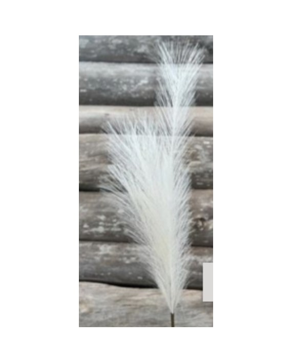 BRANCHE PAMPA BLANCHE