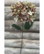 FLEURS HORTENSIA SIMPLE vieux rose