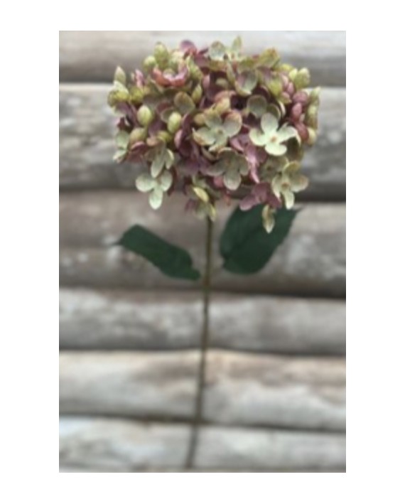 FLEURS HORTENSIA SIMPLE vieux rose
