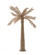 Palmier Zostere Naturel Large