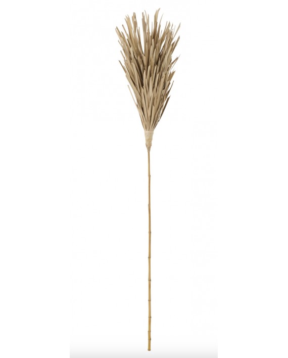 Branche feuille sechée
