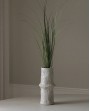 Tige/Bouquet plante verte