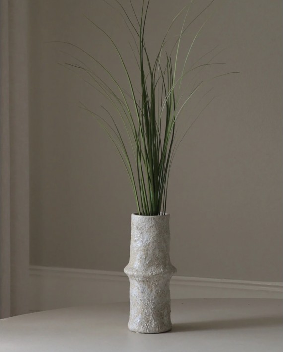 Tige/Bouquet plante verte