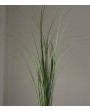 Tige/Bouquet plante verte
