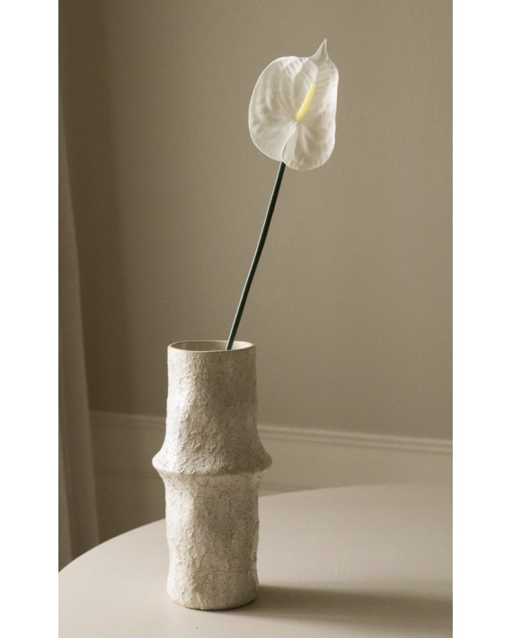 Tige Fleur blanche Anthurium
