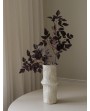 Tige feuilles de prunier bordeaux
