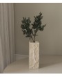 Branches de sapin vert