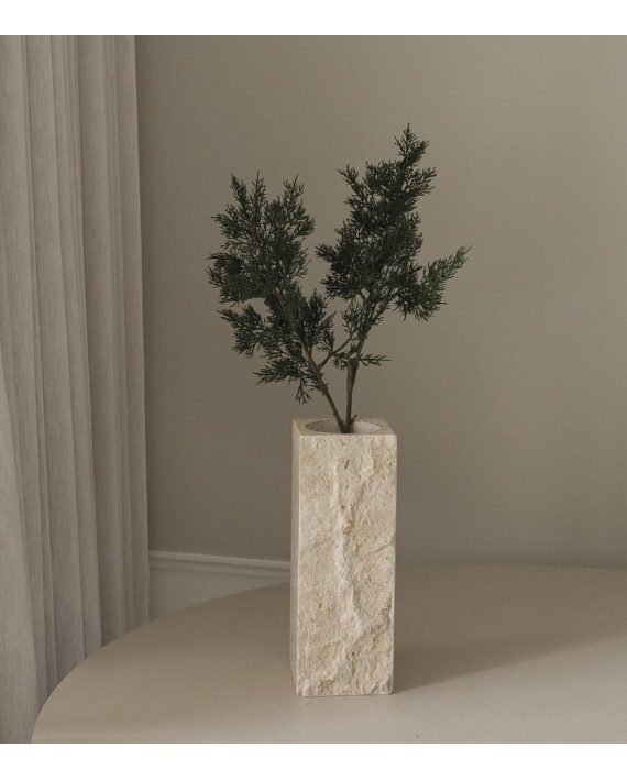 Branches de sapin vert