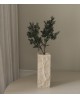 Branches de sapin vert